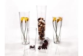 Glass Cone Vases